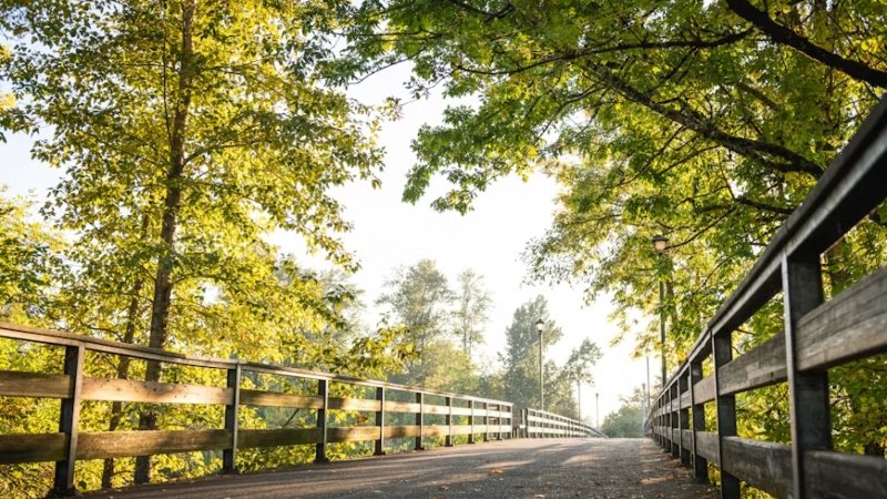 How Local Expertise Impacts Long-Term Fence Durability and Performance in Eugene